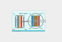 Electrolysis ozone generator module PEM Cell ozone generator PEM CELL ONLY
