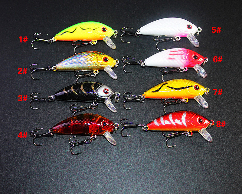 3625826958_1800806437