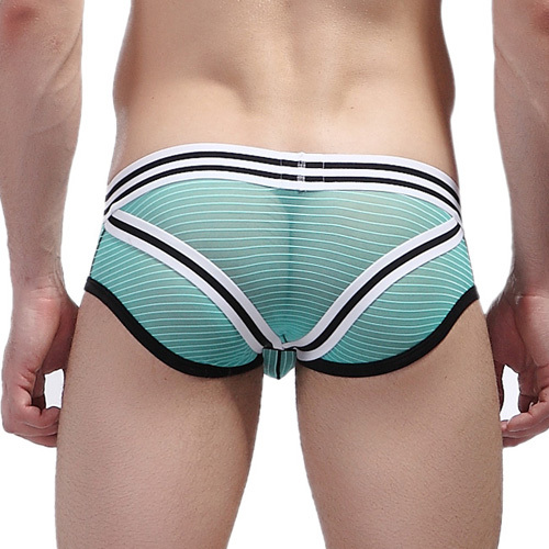 Hot Men s Briefs Sexy Mens Brief Underwear Mesh Stripe See through Transparent Hip Men Man