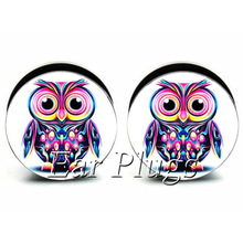 1 pair rainbow owl ear plug gauges tunnel acrylic screw flesh tunnel body piercing jewelry PAP0071