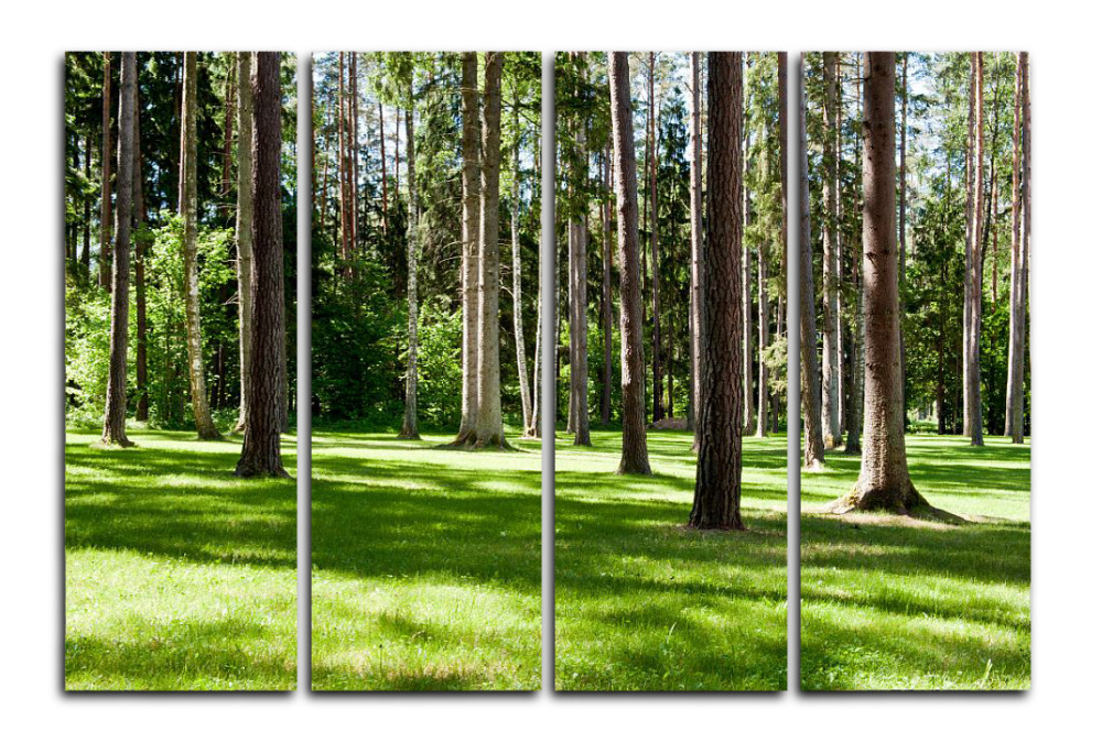 Promoción de Verde Bosque Pintura - Compra Verde Bosque Pintura