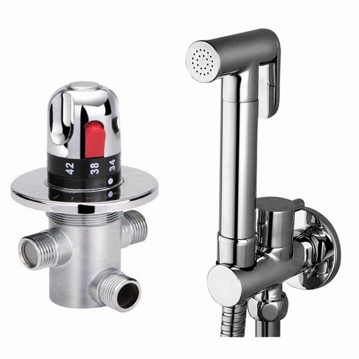 Free shipping brand new brass bidet thermostatic valve Sprayer bidet Shower, toilet bidet faucet BD288-C