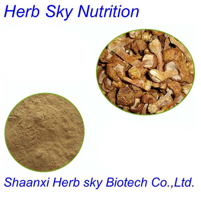 100% natural agaricus blazei murill extract powder 10:1 400g/lot