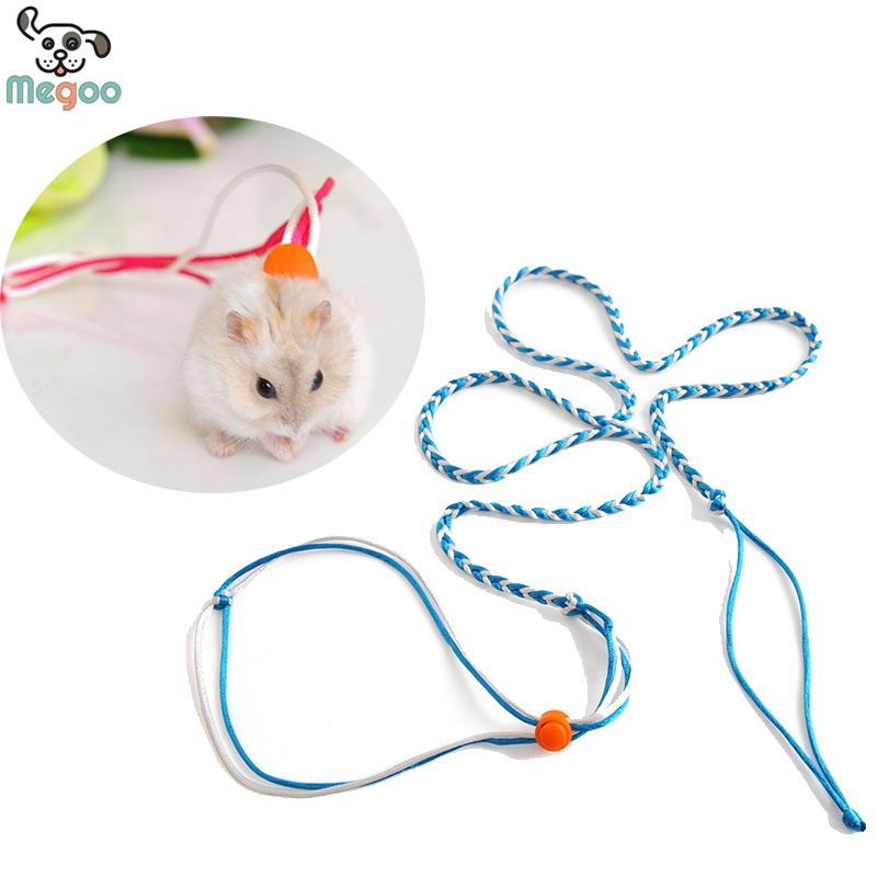 Хомяк Поводок – Купить Хомяк Поводок недорого из Китая на AliExpress