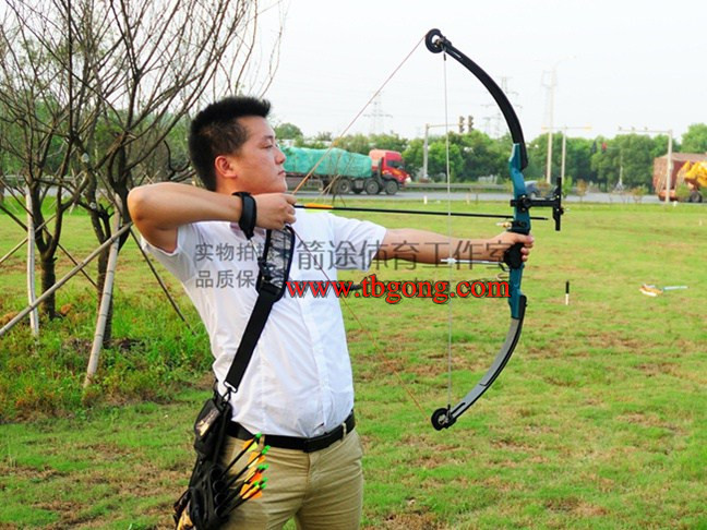Free shipping 50lbs Compound Bow sets with archery sight and arrow rest 6 months guarentee
