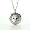 Animal necklace Barn Owl necklace bijoux women Glass cabochon pendant Necklaces bird Jewelry wholesale locket pendant