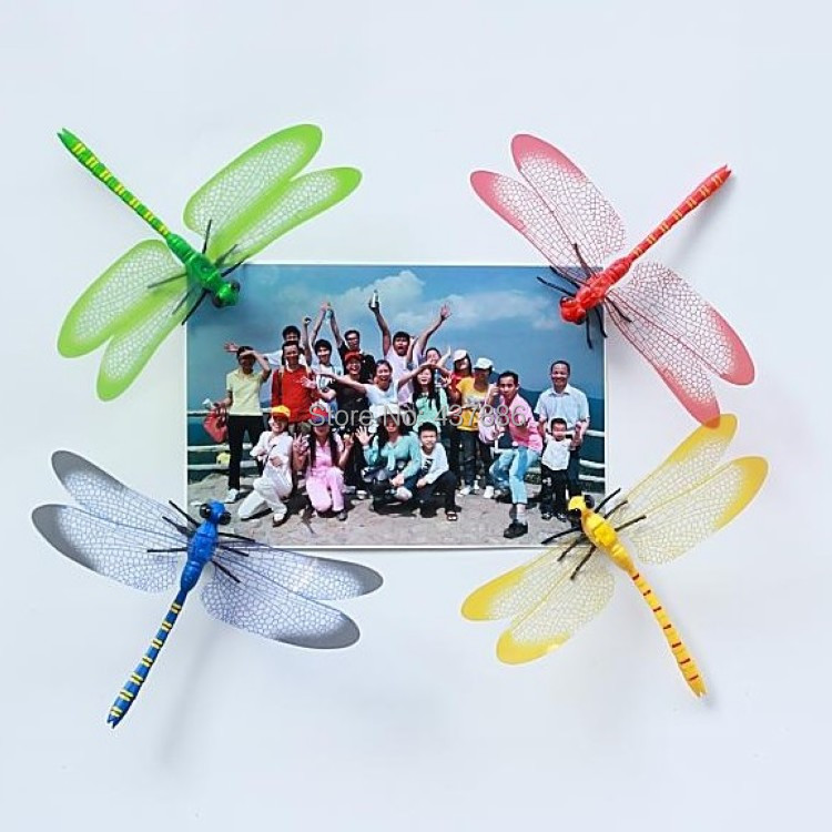 pin design magnet design Three-dimensional simulation dragonfly wall stickers to kindergarten school home decoration
