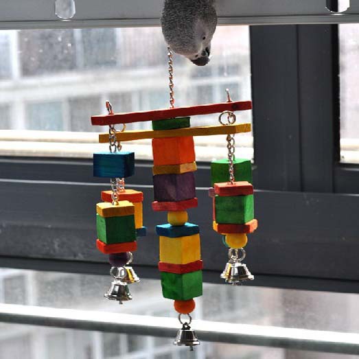 Подвижные Попугай птица игрушки качели дерева жевать игрушки веревочки весело с колокольчиками среднего размера