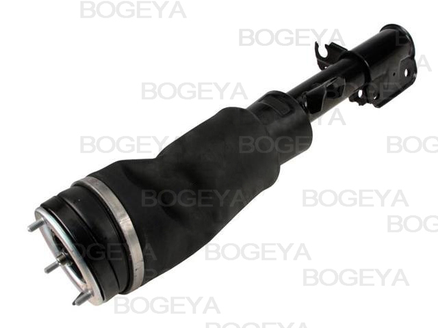 Bogeya  airmatic Federbein    coilover Rover Vouge  A8 D3 4E RNB000740G RNB501520