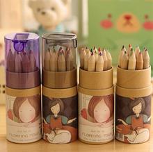 Free Shipping 12 Colors Artist Professional Fine Drawing Painting Sketching Writing Drawing Pencil Box Cases MIni Stationary