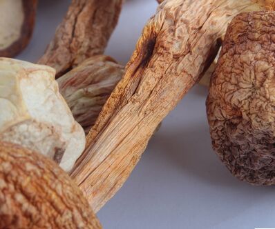 matsutake wholesale price,Matsutake wholesale,Matsutake matsutake wholesale price,Matsutake wholesale,Matsutake