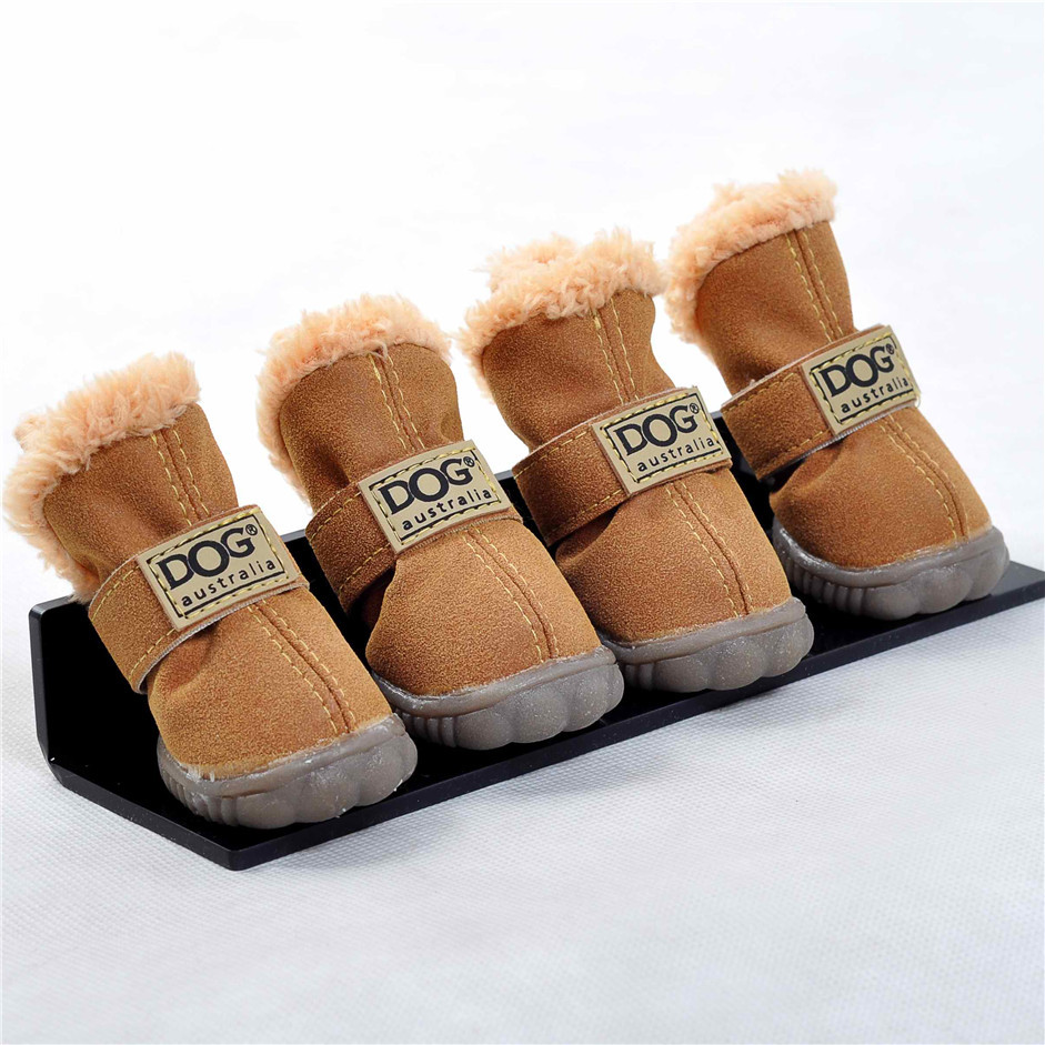 converse pour chien converse pour chien