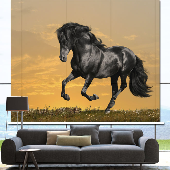 Horse Patterned Roller Blinds | horse roller shutter paintings entranceway bathroom Horse Patterned Roller Blinds | horse roller shutter paintings entranceway bathroom