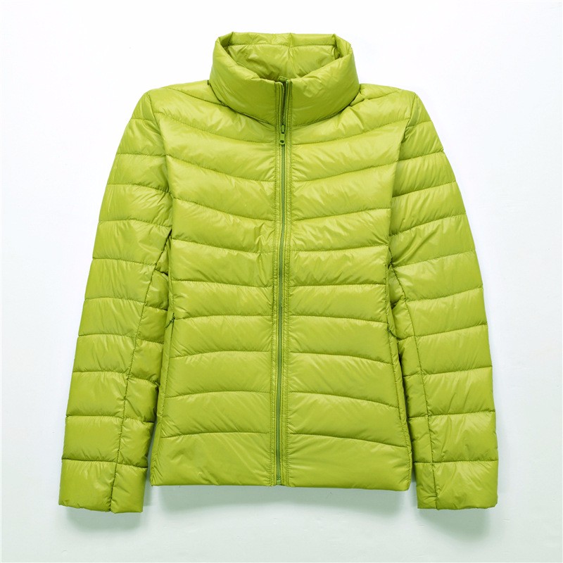 2315376672_1877285836