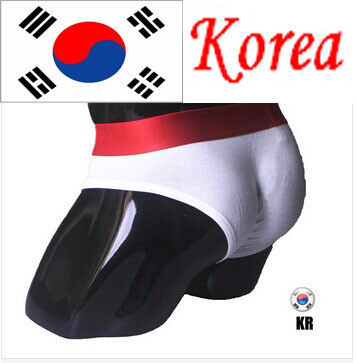 Brown-Free-shipping-2014-Brazil-Football-World-Cup-Flag-Briefs-Men-Sport-men-s-briefs-Modal-Underpants