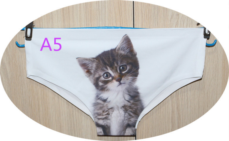 Wholesale Fashion High Quality 3D printing Women Underwear Panty Sexy Briefs Women Seamless Control Girls cat