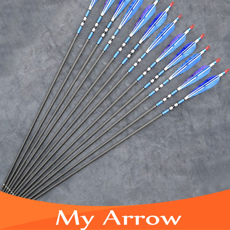 80cm Length 12pcs lot Blue Turkey Feather Carbon Arrows With Iron Arrowhead Shooting Archery Arrows For