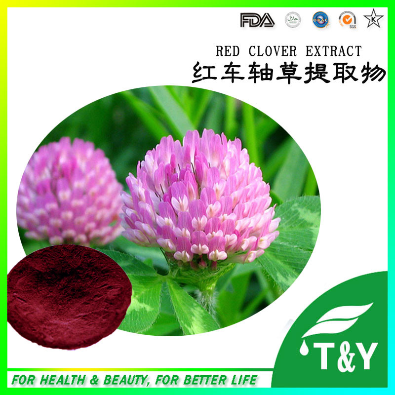Pharmaceutical Grade Red clover extract Formononetin