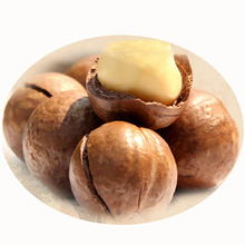 32g Macadamia Nuts Gift Delicious Chinese Snack Nut Creamy Dried Fruit Food for Health Sex Comida