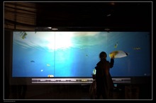 46 inch transparent touch foils 6 touch points touch screen protective film support Windows XP/7/8 and Android
