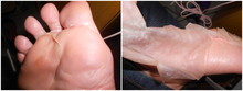 1pair baby foot mask peeling foot care renewal mask remove dead skin cuticles heel socks for