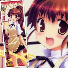 45X125CM Working Wagnaria Taneshima Popura Inami Mahiru Cartoon Anime art wall picture mural poster cloth scroll canvas painting