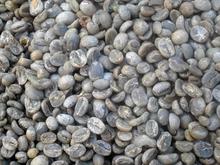 1000g China Yunnan Amall Coffee Beans Arabica A Green Raw Bean 1kg 2 2lb Free Shipping