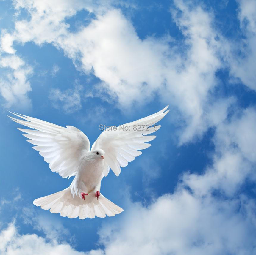 Online Kaufen Großhandel pvc spanndecke aus China pvc spanndecke