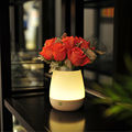 Contemporary LED Light for Flower Vase Table Light Night Lighting Decoration Lamp Touch Control