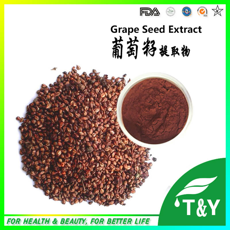 Organic Grape Seed Extract/Grape Seed Extract Powder 800g/lot