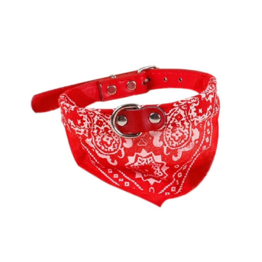Hot dog collars coupon code