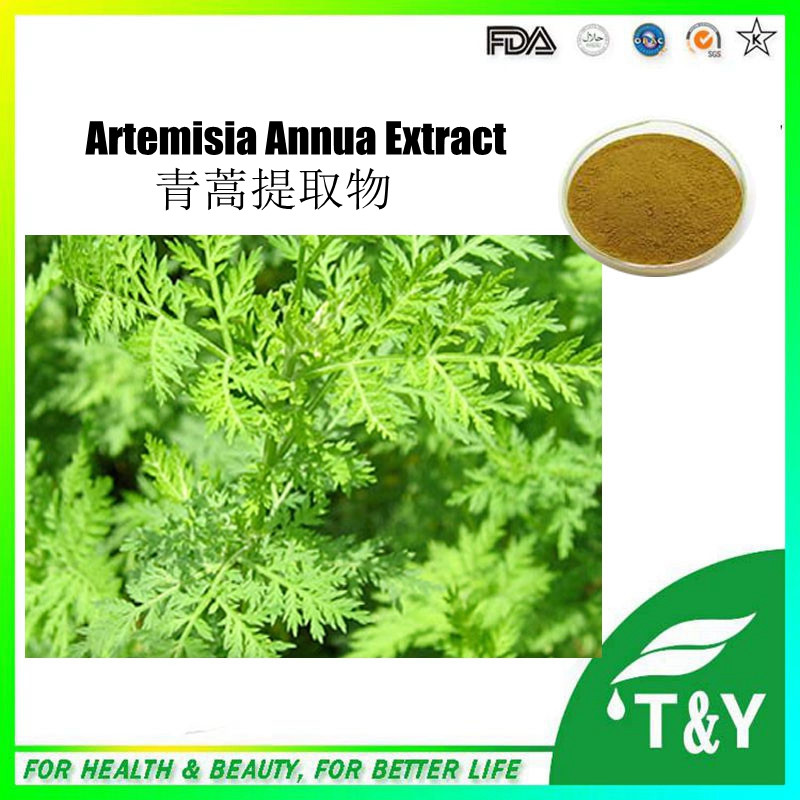 Hot sales plant extract Artemether Artemisia annua Extract/Anti-Chloroquine 300g/lot