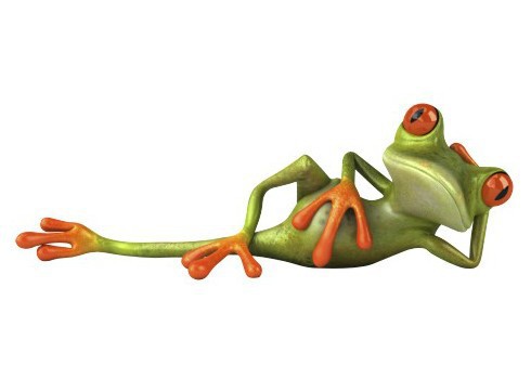 Crazy frogs coupons