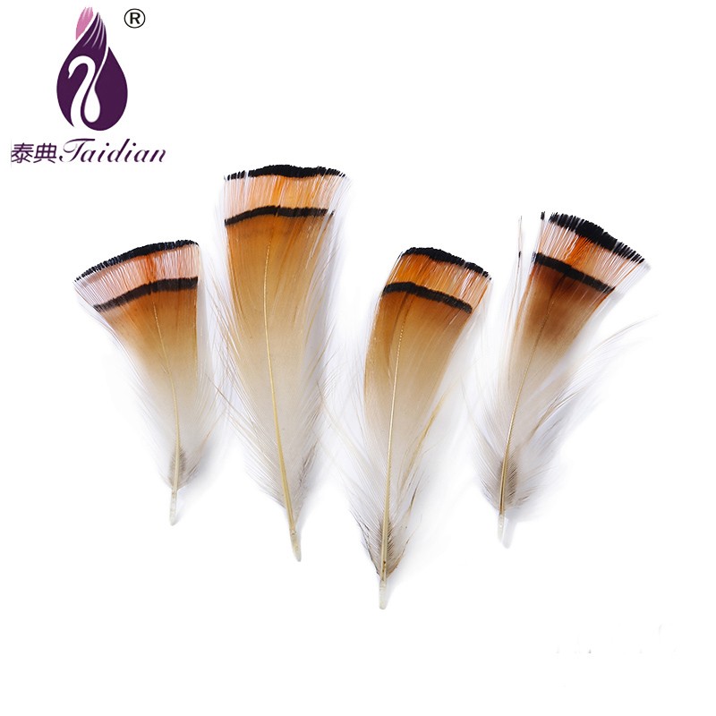 YM-028 Natural Feather 5-9cm brown pheasant plumes