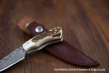 2015 NEW XINZUO Damascus steel Fixed blade Knives with Natural antlers Handle High Quality hunting knife