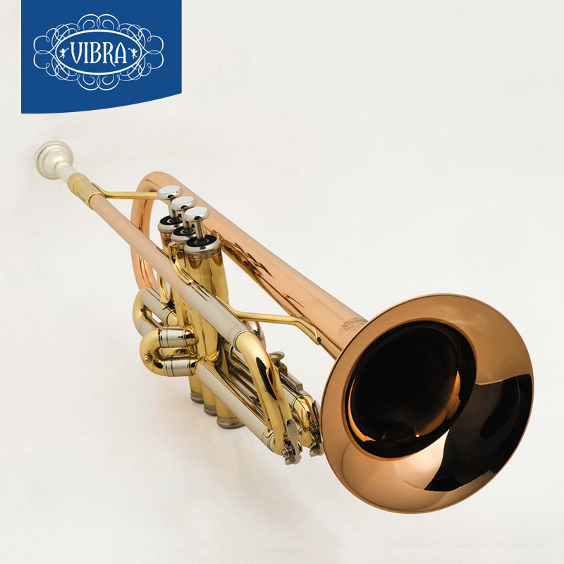 Popular Bach Trumpet MouthpiecesBuy Cheap Bach Trumpet Mouthpieces