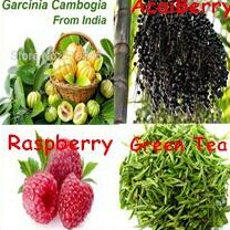Top4 Raspberry Ketone, Garcinia Cambogia, Green Coffee Bean&Tea & Acai Berry complex Capsule 50gram free shipping