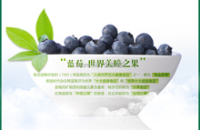 Free Shipping Dried Blueberry 567g Nutrition food Dried fruit taste sweet and sour Specialty snacks Natural
