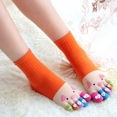  colorful      chaussette 5  