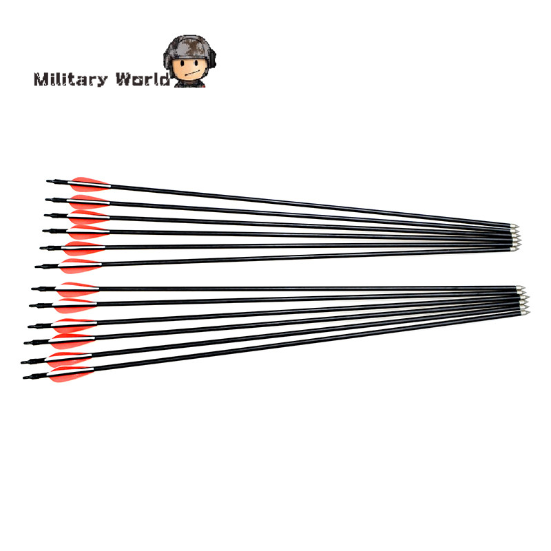 12pcs pack New Carbon 80cm Archery Arrows Changeable Arrowheads Plastic Feathers for Hunting Compound Bow Archery