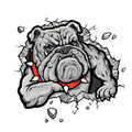 24 6x23cm car sticker big size design 3D dog decal fit For volkswagen Toyota opel peugeot