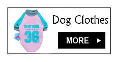 dog clothes