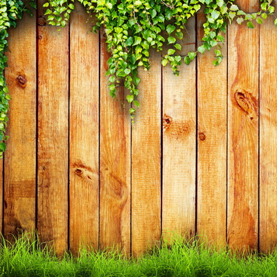 Забор деревянный картинки