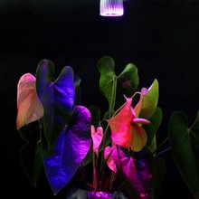 1pcs Full spectrum LED Grow lights 10W E27 3Red 2Blue LED Grow lamp bulb for Flower