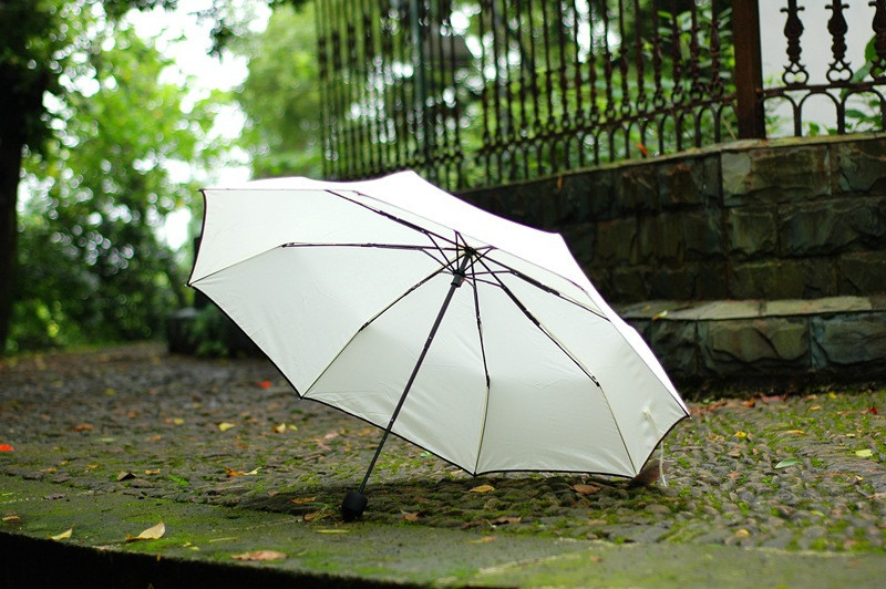 umbrella Paraguas parapluie10.jpg