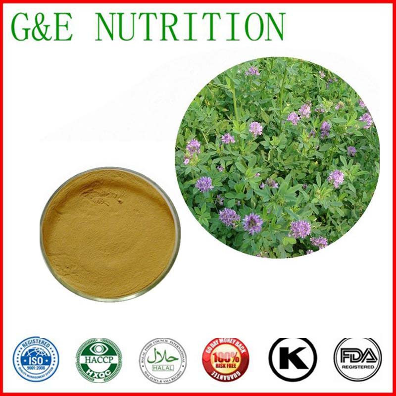100% natural hot sale alfalfa extract powder    10:1 700g