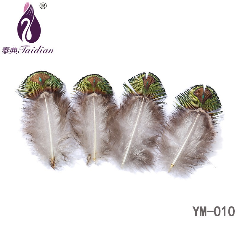 YM-010 Peacock Feather 5-10cm