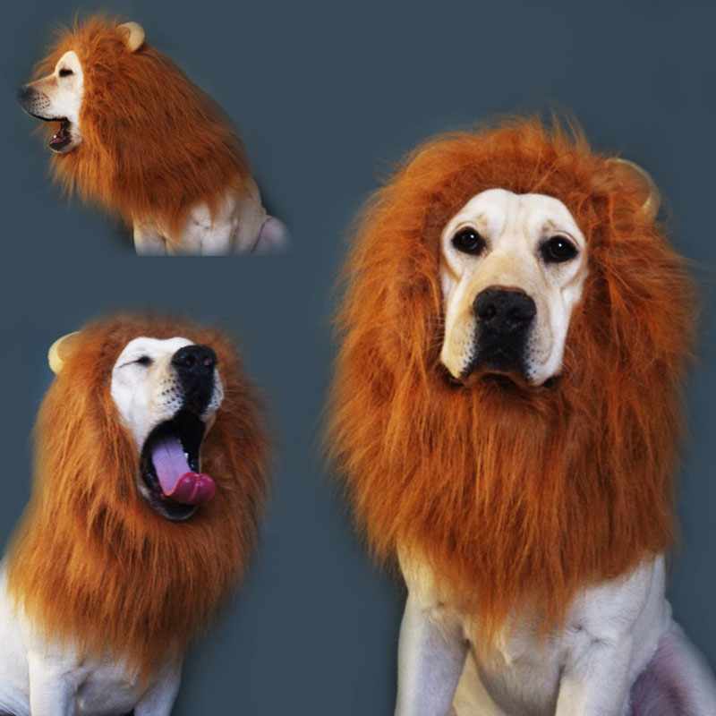 Popular Lion Costume DogBuy Cheap Lion Costume Dog lots from China