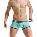 2016 High quality Mens Underwear Boxers Nylon Cueca Boxer Men Boxer Shorts New 8 colors M