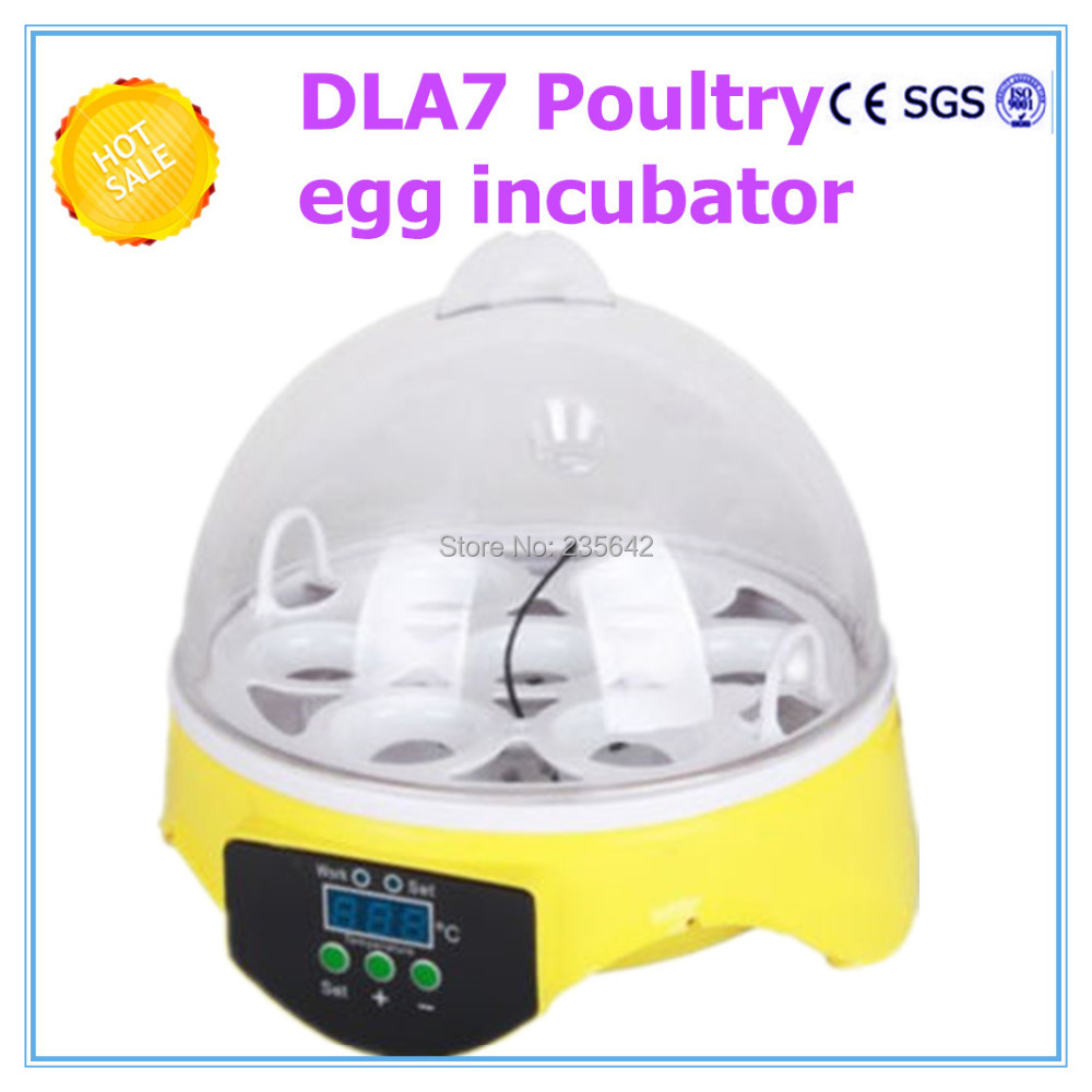 temperature for hatching chicken eggs in celsius